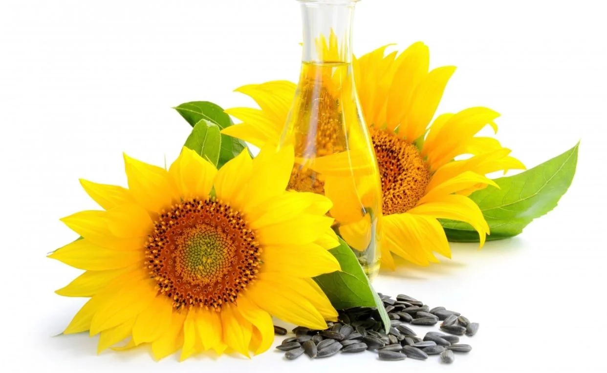 bulk sunflower oil